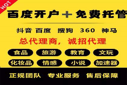 SEM代运营公司助力企业高效推广案例解析